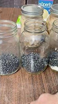 How to make Easy pressure canned beans 🫘.