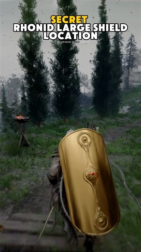 Most Players Miss This OP Shield Location Crimson Desert