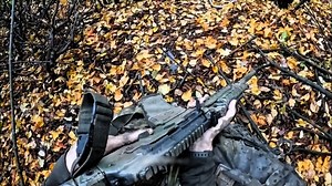 31K views · 478 reactions |...