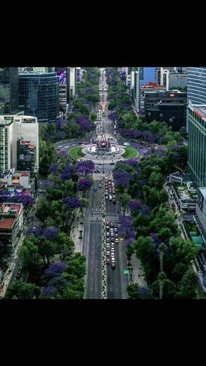 574 reactions · 28 shares | la ciudad de México ya está lista de color morado  para recibir al solecito  #jhope #jhope_bts #bts #army #hoseok | Vdz Arlen | Facebook