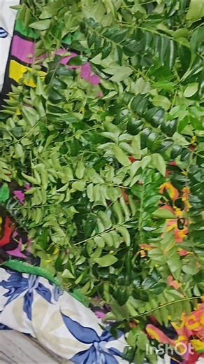 ఆర్డర్ పై చేసిన కరివేపాకు పొడి , నోరు చేదుగా ఉన్నప్పుడు #viral #trending