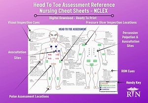 Head to Toe Assessment Nursing Study Guide Cheatsheet - Digital Download, Ready to Print - Etsy