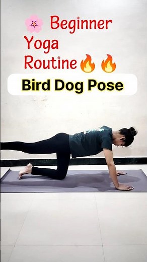 🌸🔥 7 Easy Yoga Poses for Beginners | Daily Yoga Routine #shorts #yogaforbeginners
