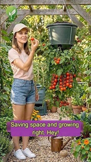 We Grew Tomatoes UPSIDE DOWN 🍅😱 #gardendiy #tomatoes #diy #gardeninghacks