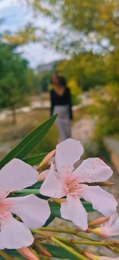 ንኩሉ ተመስገን በግልጽ ቁጥር ትግራይ እንደማን ነው