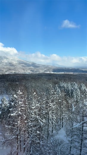 MSK Japan 2026 - Day 1 ❄️ ⛷️ … #ultrasound #radiology #sportsmedicine #sonographer #sonography #conference | MSK Australia