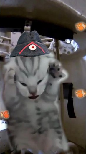 Enlisted Tank Gameplay vs War Thunder