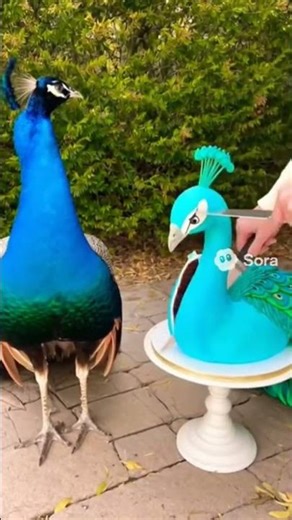 “Everything Is Cake: Shocking Animal Illusions#cake