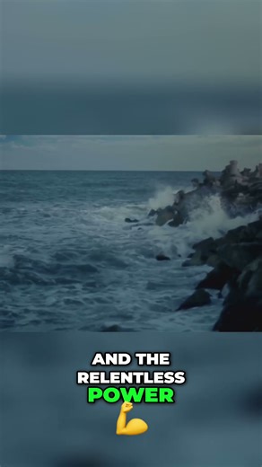 The Secret Lives of Ocean Creatures