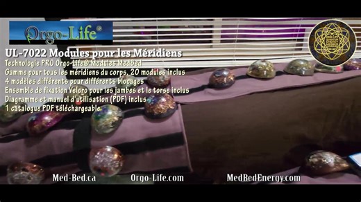 Découvrez le Module UL-7022, une innovation exclusive Orgo-Life® qui révolutionne l’approche énergétique moderne. « Le module UL-7022 constitue une pièce maîtresse du système Orgo-Life® Quantum Energy MedBed Technology®. Développé à partir des connaissances ancestrales sur les méridiens et renforcé par la bioénergie moderne, il incarne la fusion entre science, tradi- tion et innovation vibratoire. » Les modules et leur rôle « Le UL-7022 stimule l’ensemble des méridiens énergétiques du corps — ja