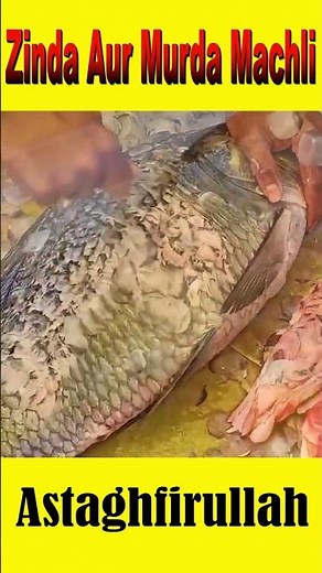 Chinese eating LIVE fish | Ying Yang Fish #shorts #viral #china #youtubeshorts #viralshorts #fish