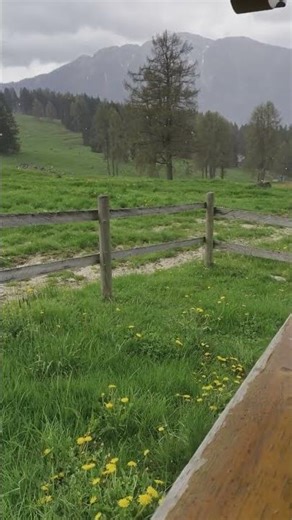 Stop Opening Bananas the Wrong Way! Try This Simple Life Hack 🍌