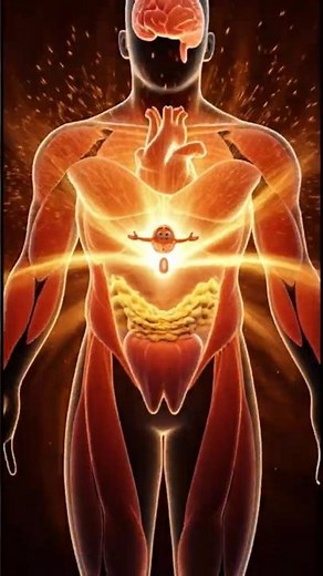 Your Body on Grapefruit: Fat Burning + Liver Reset | Grapefruit's Secret Attack on Fat Cells