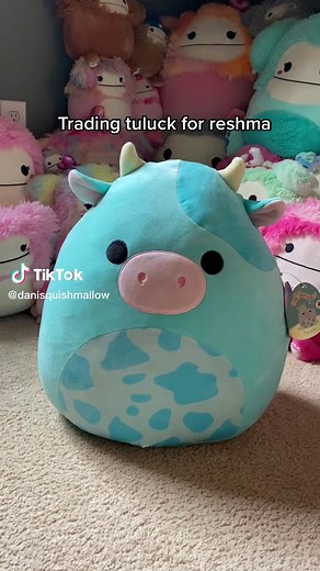 I have been hunting for a reshma since i started collecting squish 💗🐮 #squishhunting #squishmallowhunting #reshma #reshmasquishmallow #reshmacow #strawberrycow #strawberry #tuluck #bluecow #cow #cowsquishmallow #cows #squishhunting #squishmallowhunting #trading #squishmallow #squishmallows #fyp #foryou #foryoupage #squishmallowfinds #squishmallowsquad #squishmallowcollection #squishmallowcollector #squishmail #squishtok @squishmallows