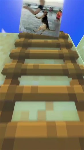 Tiga Hal Unik yang Tak Bisa Dilakukan Manusia Part Dua