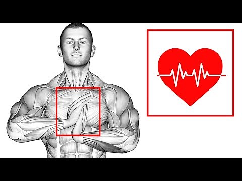 10 Best Exercises For Your Heart Health