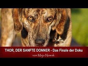 THOR, THE GENTLE THUNDER - The Documentary Finale