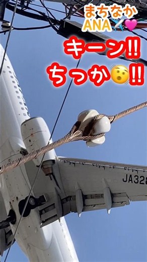 🟢【JAL】こんなに✈️身近に感じられる😱‼️キーン‼️音もお楽しみください♪🤗🩷#飛行機 #日本航空 #航空機 #旅客機 #低空飛行 #airplane #jal #shorts