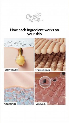 How Skincare Ingredients Work Inside Your Skin