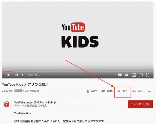 動画の貼り付けコードを取得する方法