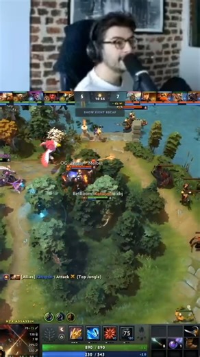 Sébastien Debs on Instagram: "The facepalm #dota2"