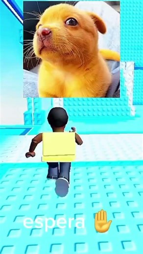 #flyxo #roblox #brainrot #edit #stumbleguys #stealabrainrot #games #tutorial #ttd3 #fly #memes #mm2