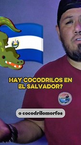 ¿Cocodrilos en El Salvador? #animals #nature #bio #wildlife #elsalvador | El Biólogo