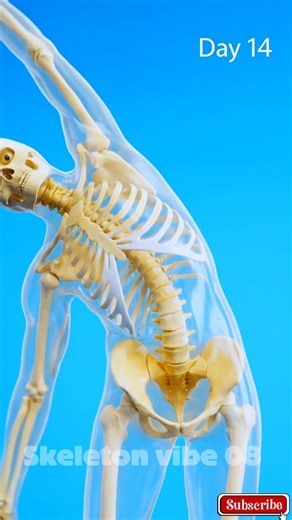 What Happens If You Stretch Every Day for 30 Days? (Shocking Results 😱) #shorts #healthtips