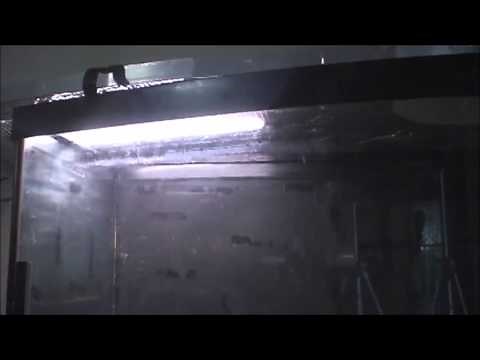 How to setup a glass tank/Aquarium for use with snake