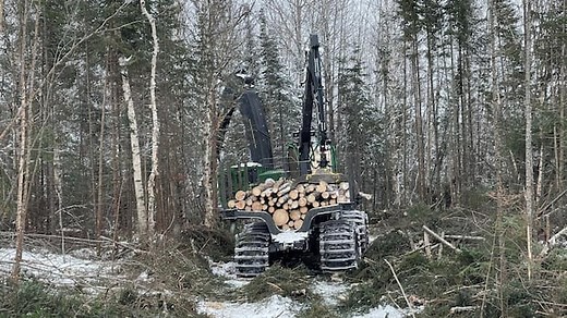 The international push to stop Canadian boreal deforestation