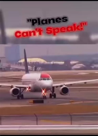 they do talk