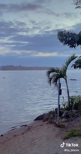Exploring a Serene Lakeside Paradise