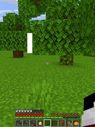 Minecraft Bedrock Mods: Building Survival Strategies