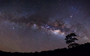 Milky Way galaxy over a silhouetted tree Rare Gallery wallpaper