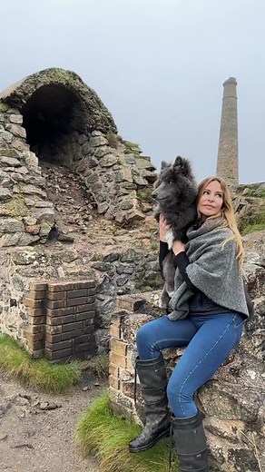 We visited Poldark in Cornwall 📍Botallack Mine My Blue Wolf 💙🐺 #Poldark #cornwall #tinmine #filmset #stones #mybluewolf #bluewolf #bluewolfdog #wolfdog #wolf #wolves #view #scenery #hikingadventures #hikingwithdogs #hikingcornwall | Anneka Svenska