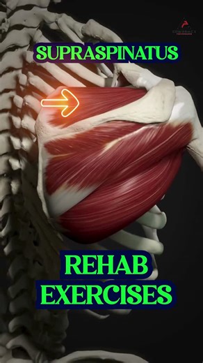 Dr. Joey Seyforth PT, DPT, ATC, CSCS on Instagram: "❌ You’ve trained the rotator cuff — but ignored the muscle holding the front together. The subscapularis is the front anchor of the shoulder. If it’s weak, the joint shifts, presses feel unstable, and pain creeps in fast. And most programs completely miss it. 🔥 Why It Matters: ⚙️ Front Shoulder Stability = Pressing without pain 📉 Weak Subscap = Glide, shifting, impingement 💥 Untrained = Constant flare-ups and poor joint positioning 🛠️ Wake 