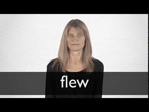 How to pronounce FLEW in British English