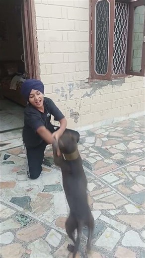 #😍😍😍#funnydog #dogtalk #viral