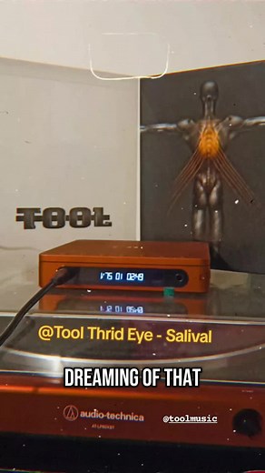 Exploring Tool's Third Eye from Salival Album