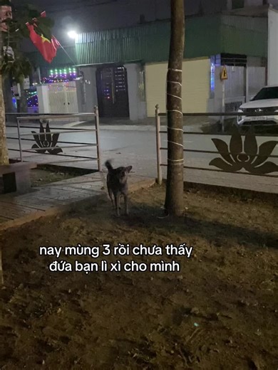 cai dit con me #_dinyo #xuhuongtiktok #tiktok