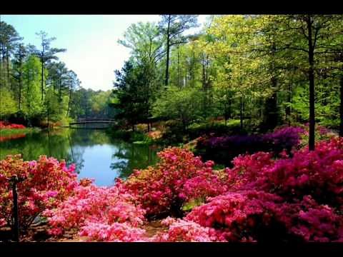 طوني حنا - يسعد صباحك