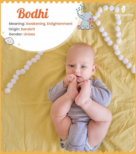 Bodhi Name Meaning, Origin, History, And Popularity