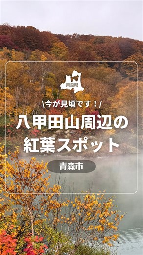 まるごと青森(旅行/観光/グルメ/アート) on Instagram: "紅葉見頃の八甲田山の様子をお届け！@青森市⛰️🍁 2025年10月20日に撮影した映像です📷 八甲田山の紅葉は、まず城ヶ倉大橋からの大パノラマが圧巻⛰️最高地点から恐る恐る撮影した迫力の映像をご覧ください！✨渓谷を彩る色とりどりの木々が絶景を演出します🌲 そして酸ヶ湯温泉周辺では、紅葉のカラフルさに至福のひとときを味わえます🌈 最後に酸ヶ湯温泉から徒歩5分の地獄沼では、湯けむりと紅葉の幻想的なコントラストが楽しめますよ🍁 見頃は10月中旬頃までですので、お急ぎください♪ 🔷🔷🔷🔷🔷 ①城ヶ倉大橋 📍青森市大字幸畑字唐崎76－4 ②酸ヶ湯温泉 📍青森市荒川南荒川山国有林酸湯沢50 ☎️ 017-738-6002 ③地獄沼 📍青森市荒川南荒川山国有林酸ケ湯沢 #青森観光 #青森トレンド #青森おすすめ"
