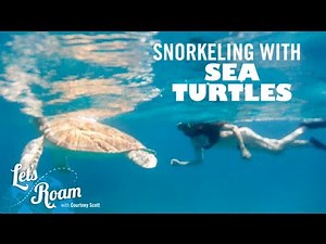 St. Thomas | Snorkeling with Sea Turtles