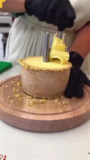 Memorable DMV Moments: A Frustrating License Saga