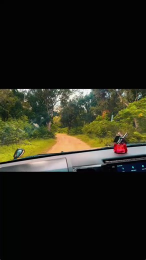 Dreaming of Sri Lanka? 🇱🇰✨ Golden beaches 🌊 Wildlife safaris 🐘 Ancient wonders 🏰 Luxury experiences 🌅 With Wander Lanka Tours, you don’t just visit Sri Lanka - you experience it. We create customized private tours just for you. 📩 Message us now to plan your unforgettable journey. 📲 WhatsApp: 94 71 181 8549 Limited 2026 bookings available — reserve your dates early! #WanderLankaTours #SriLankaTravel #VisitSriLanka #LuxuryTravel #AsiaTravel