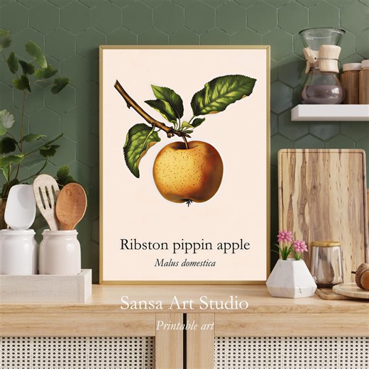 Ribston Pippin Apple Heirloom Orchard Art | Linocut Style Print | Vintage Rustic French Country Wall Decor - Etsy