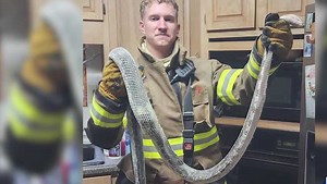 Massive snake to blame for fire at Georgia home, firefighters say