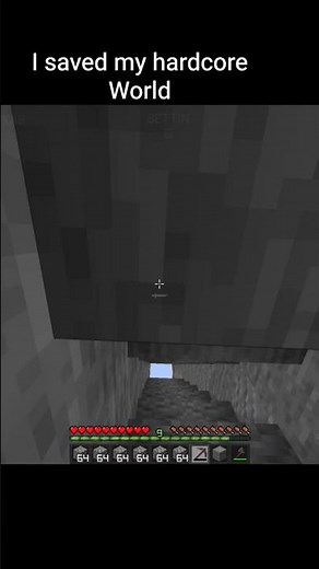 how I saved my 5 years hardcore world