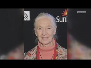 Jane Goodall death: Obituary of the chimpanzee researcher and conservation icon